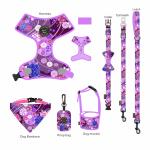 Luxury Dog Collar Leash Harness Set 6 Piece Design Sweat Resistant