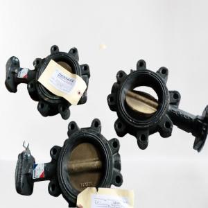 Quality Seatrax Bearing Bush Tf8004-1 wholesale