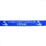 Promotional Ribbon Lanyard 2.5*80+10cm Dacron Logo Customized