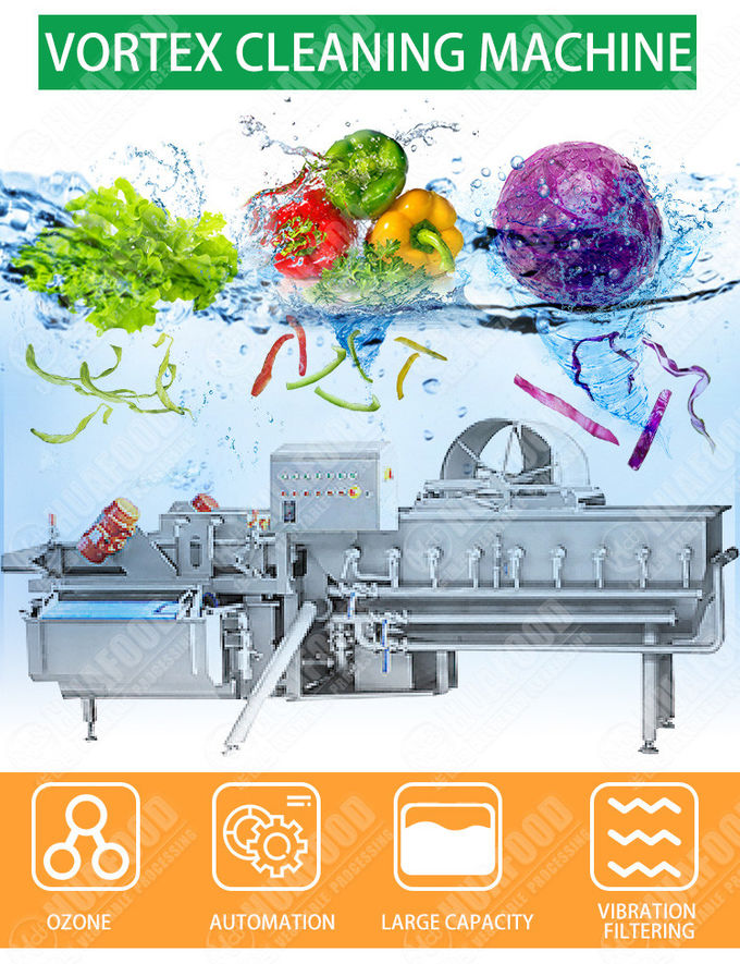 Leafy Vegetable 1000KG/H Eddie Current Washing Machine