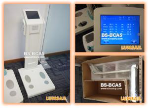 Quality Dual Frequencies Body Composition Analyzer With Built - In Thermal Printer wholesale