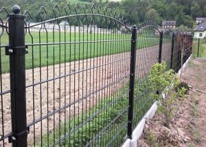 Quality 656 / 868 Double Wire Mesh Fence , Wire Fence Gate Round Post 50MM wholesale