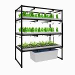 3 Layer 600*1500mm Indoor Vertical Farms Hydroponic Growing Racks For Herbs