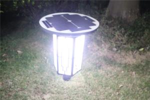 Quality 18V 20W Solar Panel Yard Lights Solar Powered Backyard Lights 2 Years Warranty wholesale