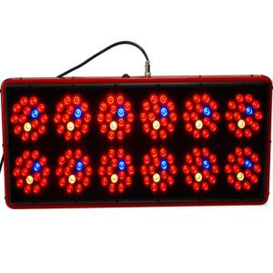 Quality Hot sale products /apollo 12 540w led/apollo horticulture led grow lighting wholesale