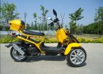 Horizontal Type Tri Wheel Motorcycle 50cc 3 Wheel Trike Scooter 4 Stroke