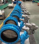 iso 5752 pn16 wormgear Rotork Captop Underground butterfly valve in ductile iron