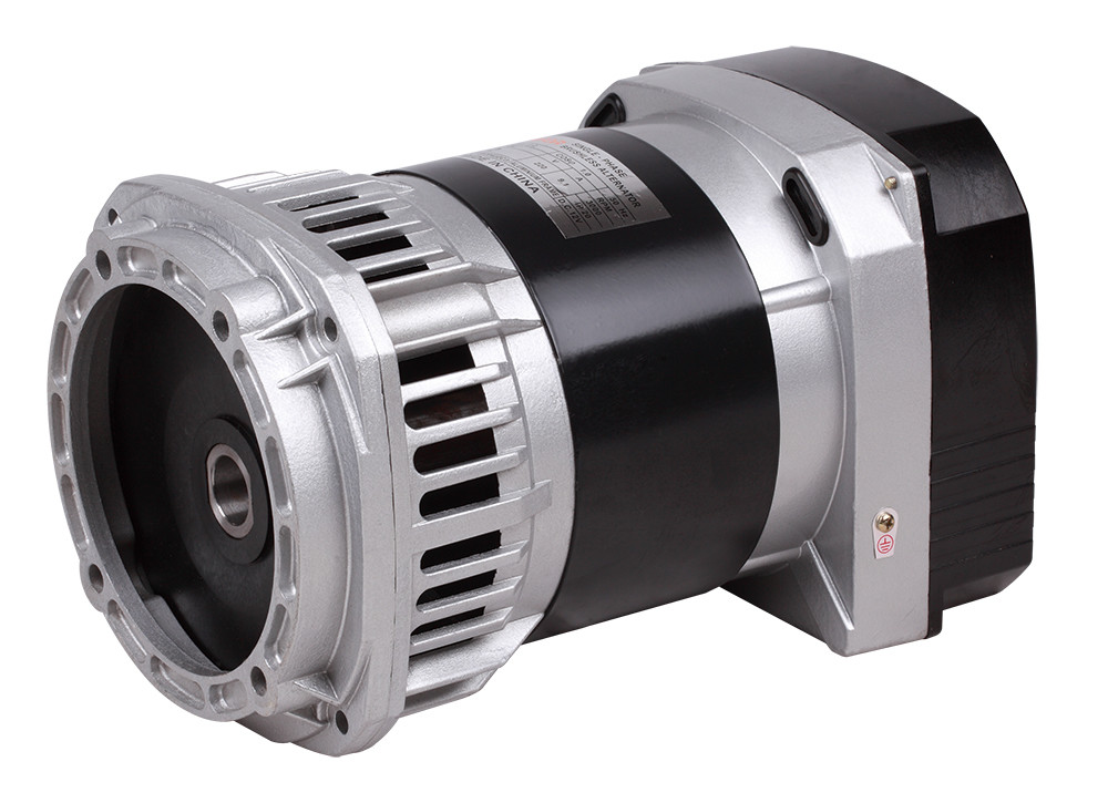 AC Selft-Exciting Alternator High Output Alternator Single-Phase Dynamo 5KW DC8.0A12V