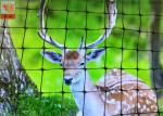 Deer Fence , Deer Fence Netting , For Garden , Hole Size 20mm, 100 Meters Length
