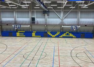 Quality Movable 450mm Width HDPE Telescopic Seating Systems wholesale