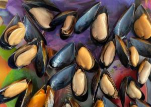 Quality Cooked Mussel Half Shell Mytilus wholesale