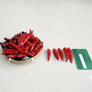 High Vitamin C Chile Guajillo Pods Natural Ingredients Great Taste