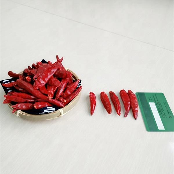 Cheap High Vitamin C Chile Guajillo Pods Natural Ingredients Great Taste for sale