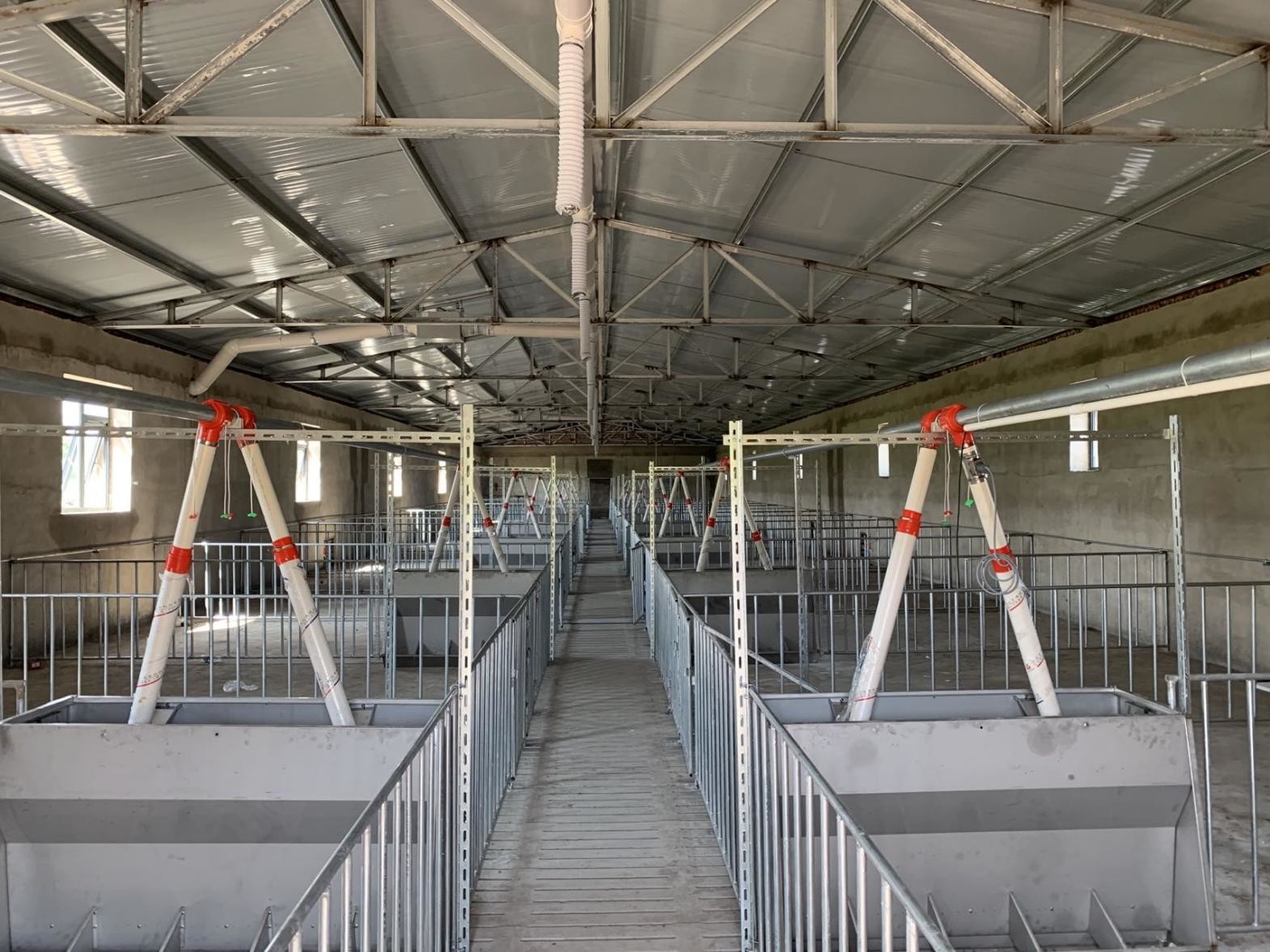 Pig Farm Customized Size Swine Cage Crate With Concrete Slatted Floor