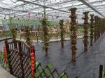 Galvanized Frame Finishing Garden Glass Greenhouse 6mm Polycarbonate Covering