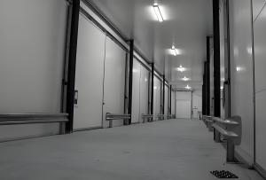 Quality Polyurethane Insulated Cold Room Cold Storage Energy Saving wholesale