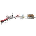 240W Fully Automatic Carton Box Packing Machine With Sealer Conveyor