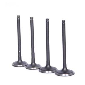 Quality Electrical Inlet And Exhaust Valve 1371171010 For Toyota 1Y 2Y 1371571010 wholesale