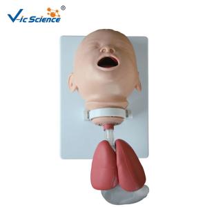 Quality Infant Intubation Pvc Doctors Medical Training Manikins Model wholesale