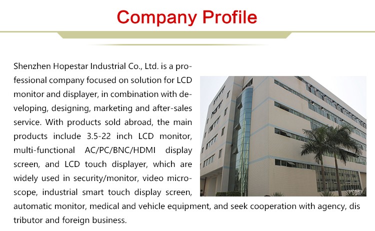 2.0M/P Camera 10. Inch Wifi All In One Touch Screen PC 300cd/M2