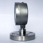 SUS 304 Flange Mount Pressure Gauge 1 MPa 100mm Diaphragm Seal Type Pressure
