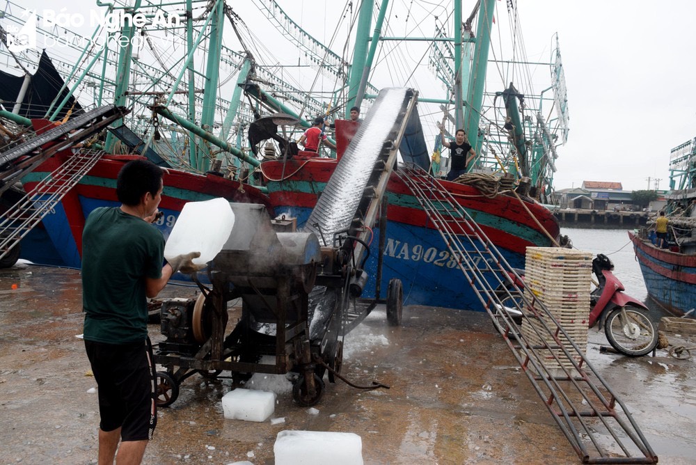 Automatic 20 ton San Luong Ice Block Machine with Direct Cooling by Focusun in Giang