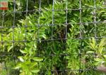 Deer Barrier, Deer Fence Netting, PP Materials, Extruded Plastic Netting, 100