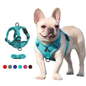 Quality Polyester Reflective Pet Vest 1.5m Traction Leash Blue Dog Harness wholesale