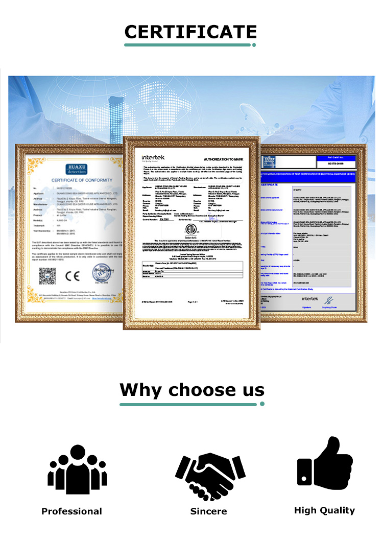Factory Supply PM2.5 Household Office Smart Air Purifier Hepa Filter Ionizer Air Purifier Home