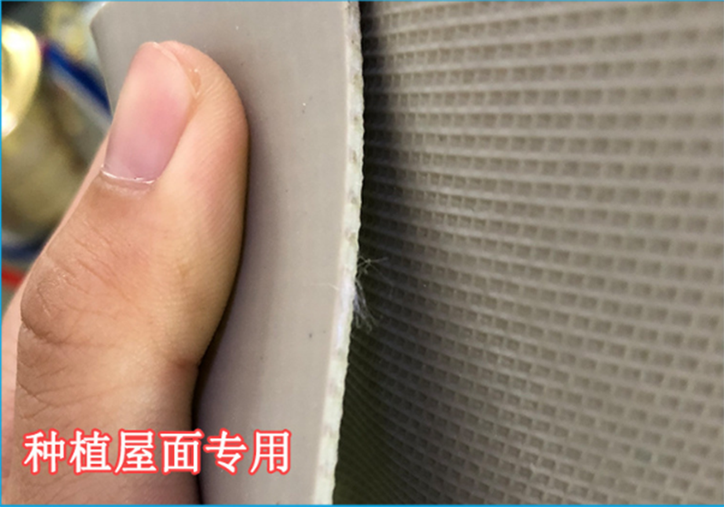 PVC Waterproof Membrane for Flat Roof Flat Roof Waterproof Online Technical Support