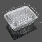 Transparent Big Clamshell Disposable Plastic Food Box