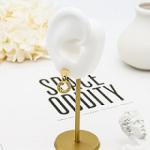 316 Stainless Steel Fashion Jewelry Earrings Gold Screw Back Ear Piercings Stud
