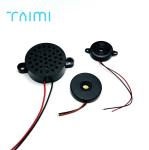 IP67 Waterproof Buzzer 30×9 Piezoelectric Active Non Porous Anti Static Fully