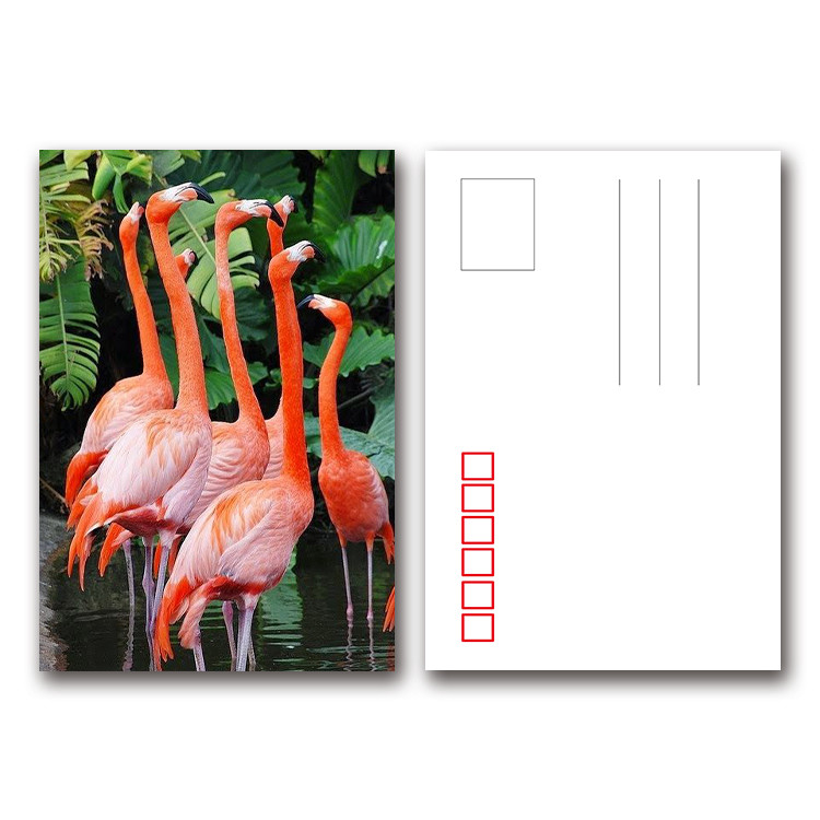 Digital Printing Name 3d Plastic Business Cards Size 8.0x5.4cm Alkali - Resistant
