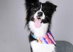 Red Pink Bandana Dog Collar Sublimation Dog Neckerchief Collar