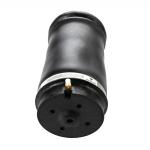 1643200825 ML-Class Rear Air Suspension Spring W164