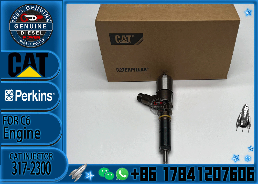 Common Rail C6 Diesel Engine Fuel Injector 317-2300 326-4700 295-9130 10R7675