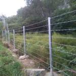 Rust Resistant High Tensile Barbed Wire Traditional Double Twist Type