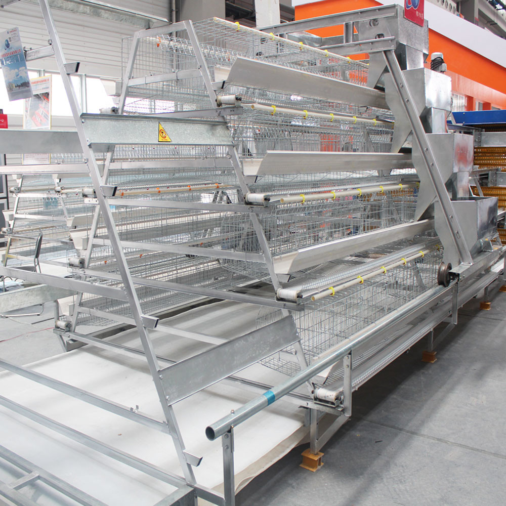 Silver Color A Type Battery Layer Chicken Cage Good Ventilation