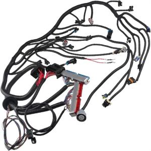 Quality 12V Engine Wiring Harness wholesale