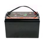 BMS 100ah 12v Lifepo4 Battery 1280wh 12.8v Rechargeable Lithium Ion Battery