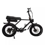 Fat Tyre Electric Bike Snow Beach Fast Speed Customized Electric Bicycle 2 Seats