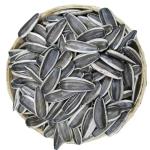 New Crop Sunflower Seeds for Wholesale from Chinese T5 210-220 High Grade Raw 20