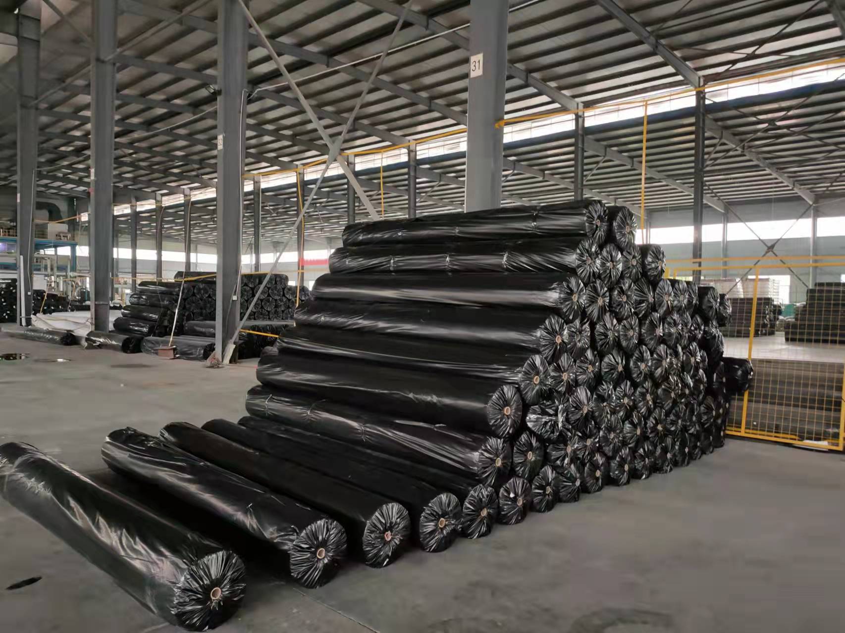 High Surface Hardness HDPE Black Fish Pond Liner Plastic Geomembrane for Fish Farming