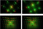 Firefly full star laser light/ effect light/stage light/ the bar lights