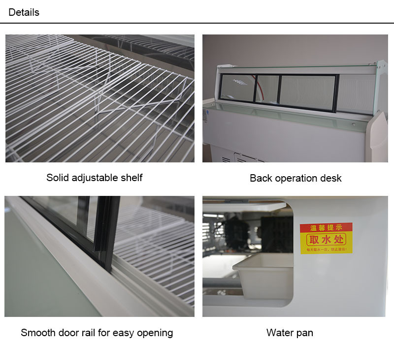 Portable Meat Display Freezer