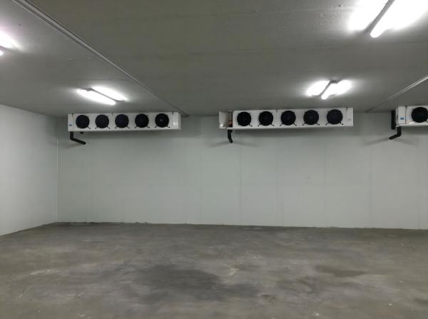 Cheap 220V 380V Quick Freeze Cold Storage Air Cooled With Polyurethane Foam Insulation for sale