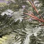 Wind Resistance Fake Landscape Trees Senegal Acacia For Party Decor