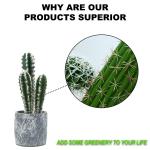 18cm All Season Artificial Potted Floor Plants Mini Bonsai Succulent Countertop