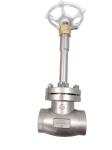 Liquid Ammonia SUS304 SUS316 Cryogenic Control Valve PN40 -196~+80℃